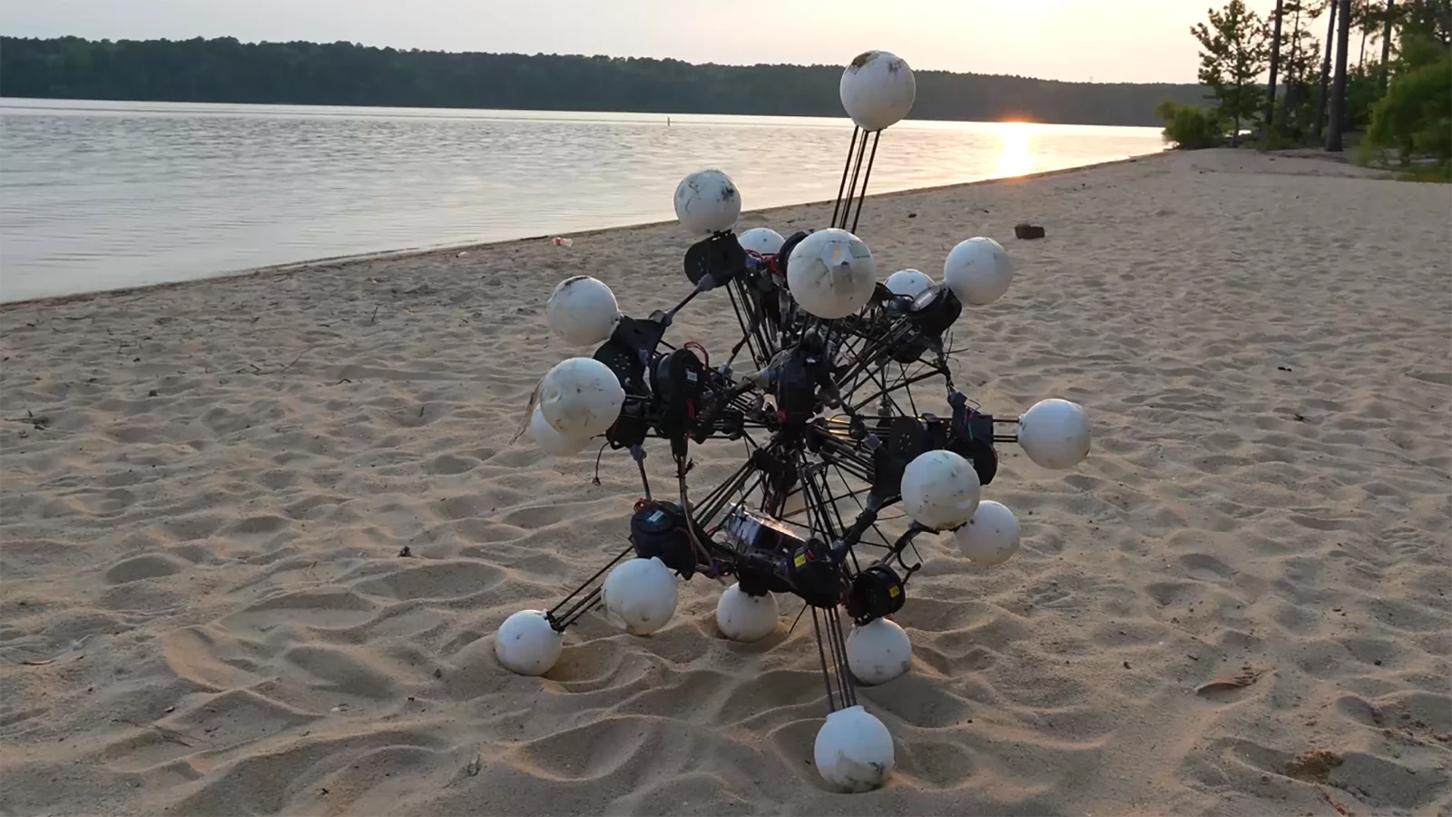 argus robot